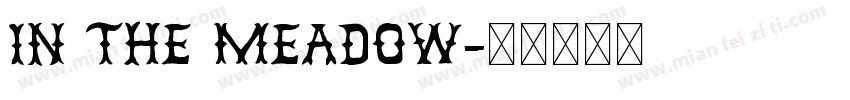 In The Meadow字体转换
